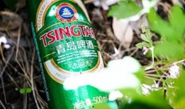 强爽啤酒爆料视频大全,揭秘啤酒界的秘密与传奇