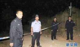 岑溪新闻爆料事件视频最新,最新事件视频曝光，真相究竟如何？